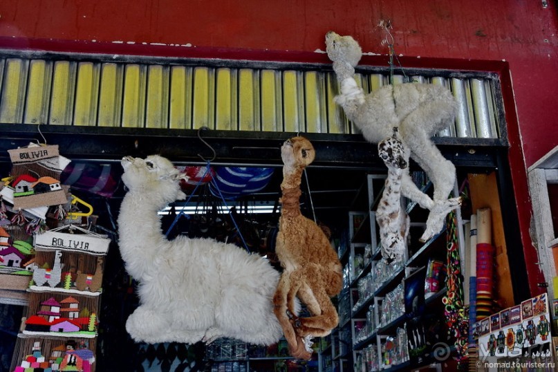 Bolivia te espera! Часть 2