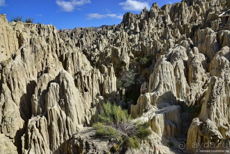 Bolivia te espera! Часть 2