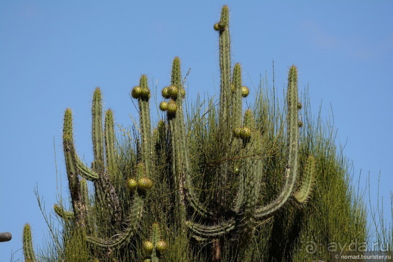 Bolivia te espera! Часть 2