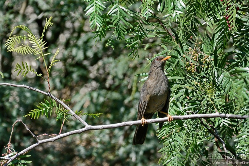 Bolivia te espera! Часть 2