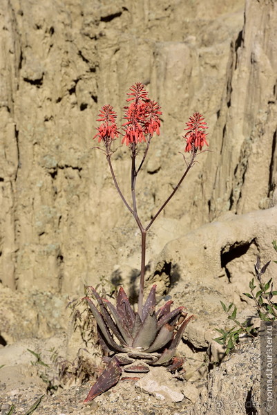 Bolivia te espera! Часть 2