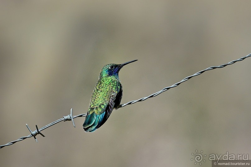 Bolivia te espera! Часть 2