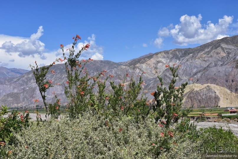 Bolivia te espera! Часть 2