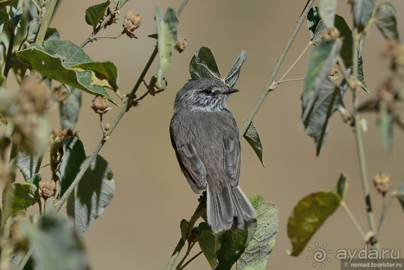 Bolivia te espera! Часть 2
