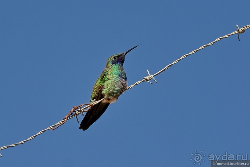 Bolivia te espera! Часть 2