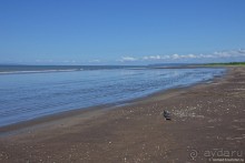 Pura vida по-костарикански. Часть 3