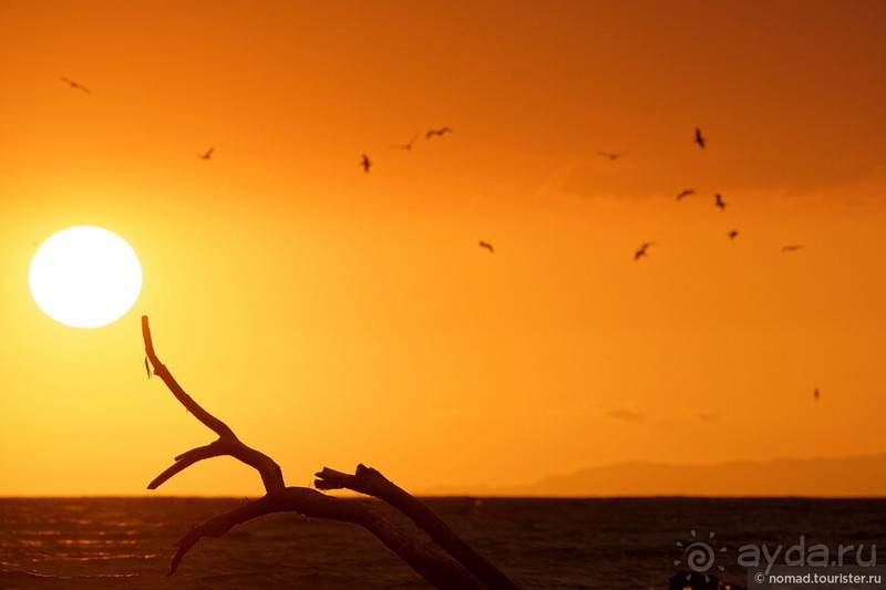 Pura vida по-костарикански. Часть 3