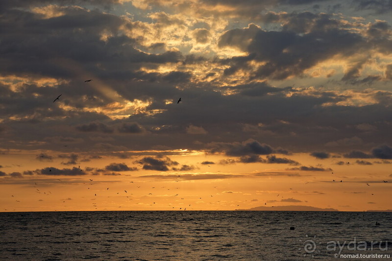 Pura vida по-костарикански. Часть 3