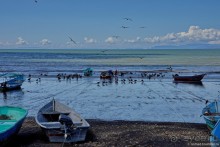 Pura vida по-костарикански. Часть 3