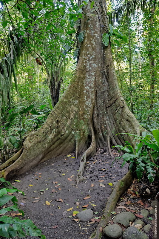 Pura vida по-костарикански. Часть 3