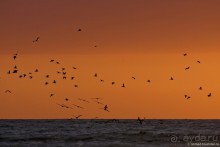 Pura vida по-костарикански. Часть 3