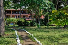 Pura vida по-костарикански. Часть 3