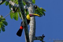 Pura vida по-костарикански. Часть 3