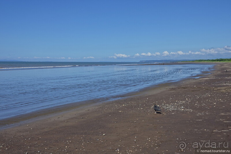 Pura vida по-костарикански. Часть 3