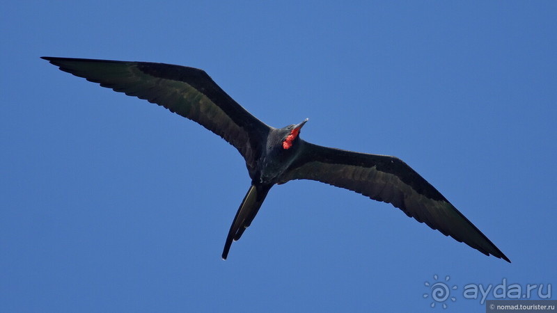 Pura vida по-костарикански. Часть 3