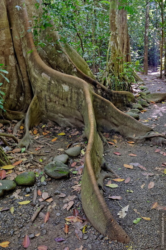 Pura vida по-костарикански. Часть 3