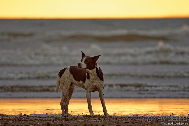 Pura vida по-костарикански. Часть 3