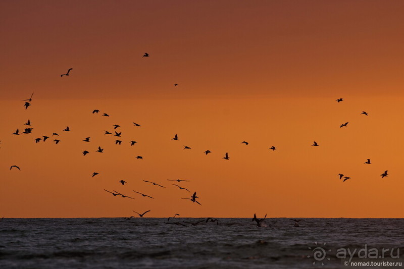 Pura vida по-костарикански. Часть 3