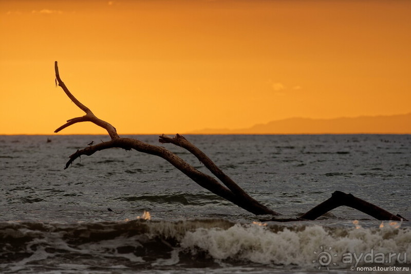 Pura vida по-костарикански. Часть 3