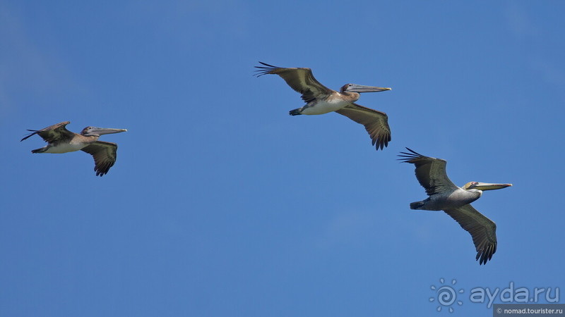 Pura vida по-костарикански. Часть 3