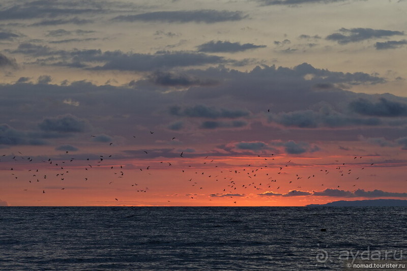 Pura vida по-костарикански. Часть 3