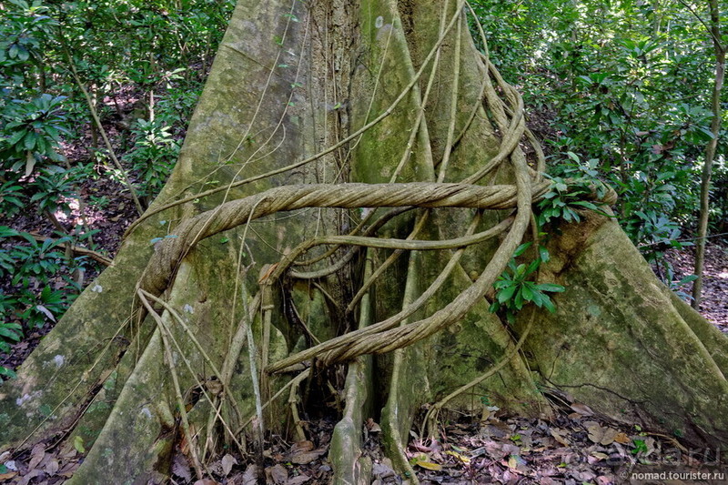 Pura vida по-костарикански. Часть 3