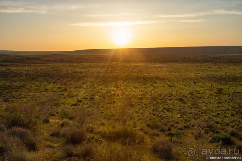 Эх, дороги! Ах, Казахстан!