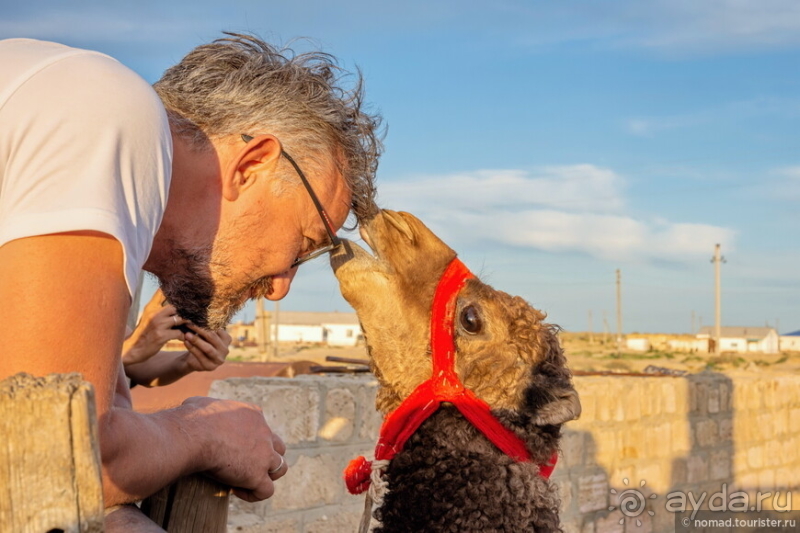 Эх, дороги! Ах, Казахстан!