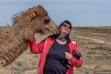 Эх, дороги! Ах, Казахстан!