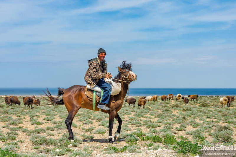 Эх, дороги! Ах, Казахстан!