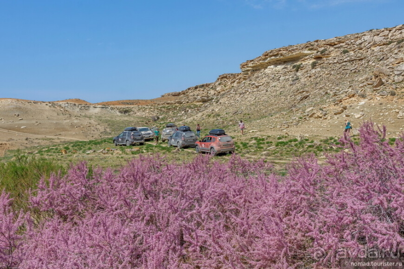 Эх, дороги! Ах, Казахстан!