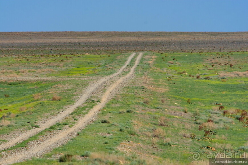 Эх, дороги! Ах, Казахстан!