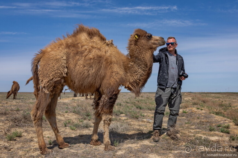 Эх, дороги! Ах, Казахстан!