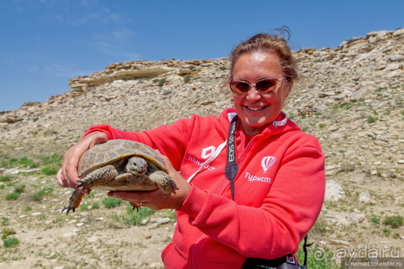 Эх, дороги! Ах, Казахстан!