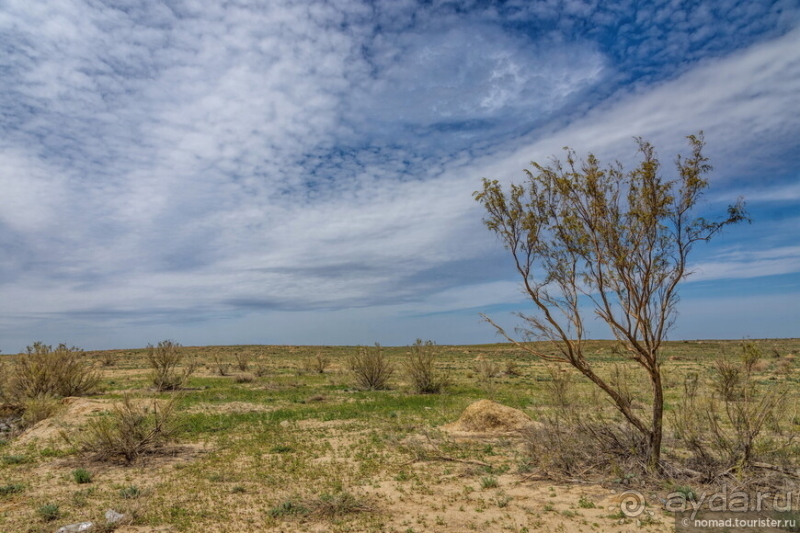 Эх, дороги! Ах, Казахстан!