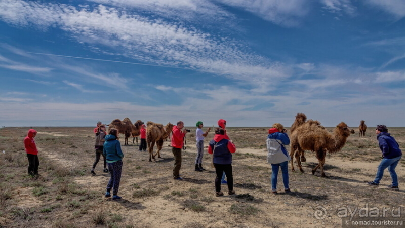 Эх, дороги! Ах, Казахстан!
