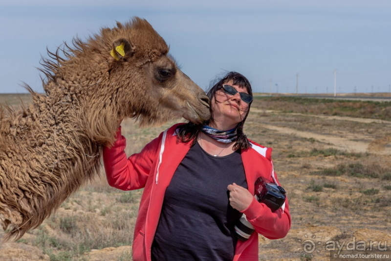 Эх, дороги! Ах, Казахстан!