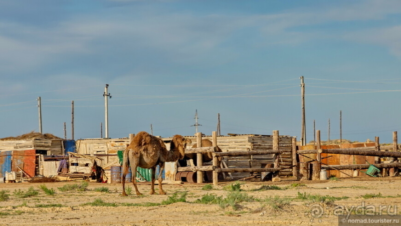Эх, дороги! Ах, Казахстан!