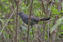 Гватемала. Страна, куда хочется вернуться. Часть 1