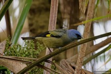 Гватемала. Страна, куда хочется вернуться. Часть 1