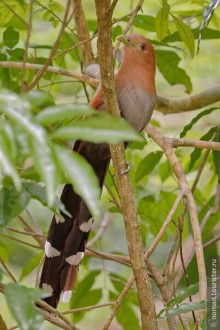 Гватемала. Страна, куда хочется вернуться. Часть 1