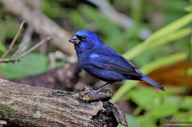Гватемала. Страна, куда хочется вернуться. Часть 1