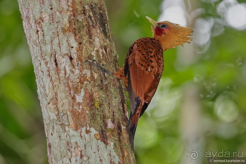 Гватемала. Страна, куда хочется вернуться. Часть 1