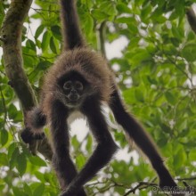 Гватемала. Страна, куда хочется вернуться. Часть 1