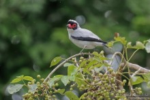 Гватемала. Страна, куда хочется вернуться. Часть 1