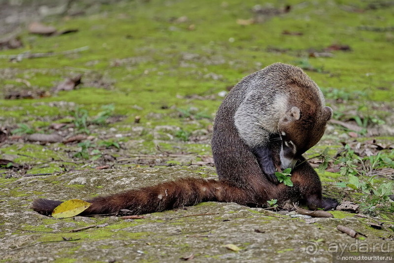 Гватемала. Страна, куда хочется вернуться. Часть 1