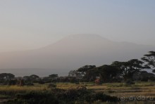 Кения, Амбосели