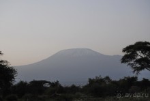 Кения, Амбосели