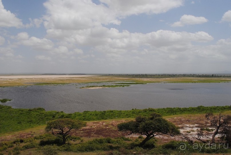 Кения, Амбосели