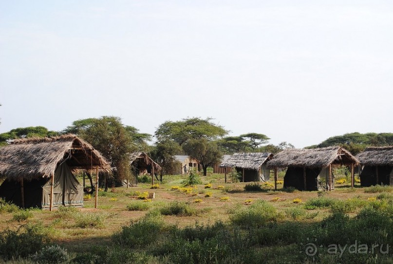 Кения, Амбосели